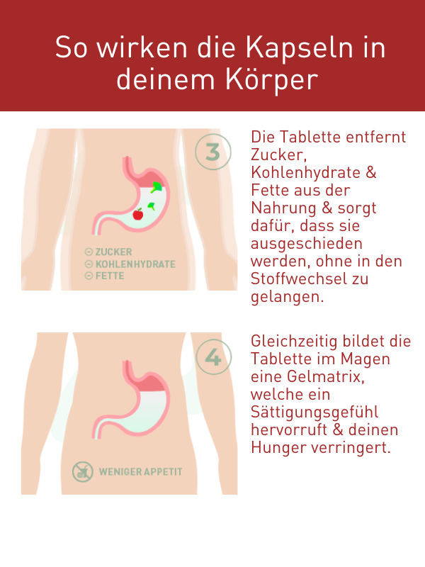 N1 Fett-, Zucker- & Kohlenhydrate Blocker Wirkungsweise im Körper, Diagramm zur Entfernung von Zucker, Kohlenhydraten und Fetten sowie Sättigungsgefühl durch Gelmatrix.